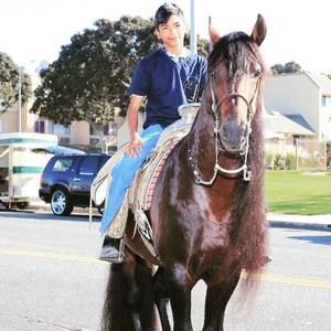 Meet your Posher, Edgar